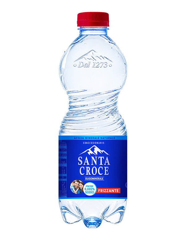 ACQUA SANTA CROCE 0,5 LT FRIZZANTE PACK DA 16 CONFEZIONI - PET